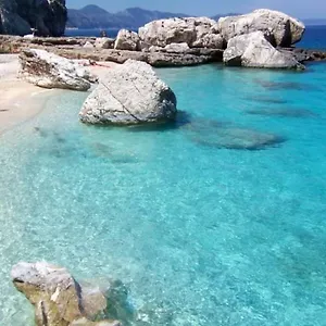 Purple Flower , Cala Gonone Italia